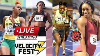 Velocity Fest 13 Live Stream