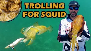 TROLLING FOR SQUID WITH DEADLY RESULTS | HOW TO CATCH, CLEAN & COOK | MORETON BAY