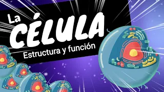 THE CELL ⚡Organize basic functions and structures expert level in 8 minutes