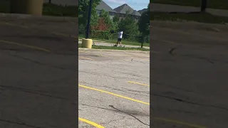 stupid kid fights geese