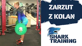 Shark Training - przygotowanie motoryczne: ZARZUT Z KOLAN