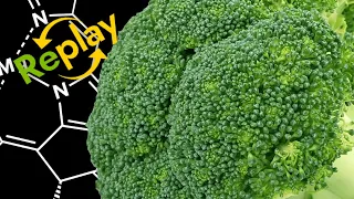 The Science of Broccoli