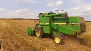 Żniwa Prosa z Jeleniem !!! | JOHN DEERE 1055 & URSUS 914 |