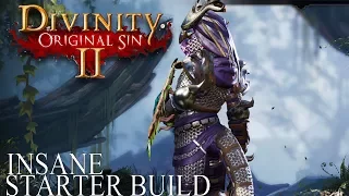 Insane Divinity Original Sin 2 Starter Build