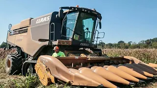 Harvesting CORN in this HUGE CLAAS Combine | FARM LIFE