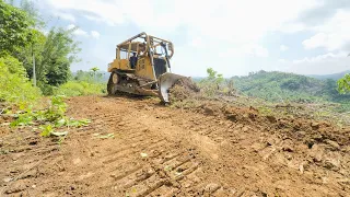 The Old Road Has Become a Dense Forest D6R XL Bulldozer Repairs Back