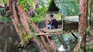 Build a tree house by the river to relax and fish