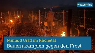 Winzer kämpfen gegen Frost