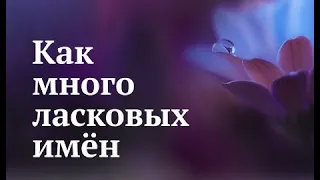 Как много ласковых имён