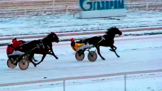 ЦМИ.Ипподром.Сезон 2016.Часть 2.Каскадёры и Сплавщики.