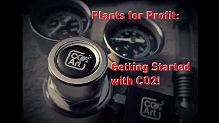 Plants for Profit: Getting Started with CO2