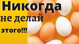 Главная ошибка при продаже куриных яйц. Куры несушки, содержание и разведение