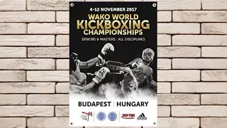 №14 Kiryl Marchanka (BLR) vs. Laaouatni Zakaria (FRA) WAKO World Kickboxing Championships 2017