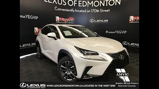 White 2019 Lexus NX 300 Luxury Package Review - Edmonton, AB, Canada