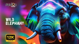 ELEPHANTS - Animals Collection in 8K TV HDR 60FPS ULTRA HD - African Wildlife: - Relaxing Music