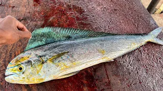 Whole Dorado Fish Cutting Skills | Live Mahi Mahi Fish Cutting Skills