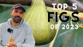 Top 5 Fig Tree Varieties of 2023: Our BEST Figs of the Year for Zone 6