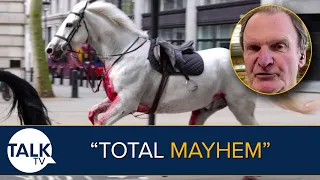 “Satirical Scenario” | Five Injured As Blood-Covered Cavalry Horses Go Wild On London Streets