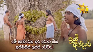 මේ පැතිරෙන කුර රෝග බිය ඉක්මනින් තුරන් වේවා..! | Punchi Andare