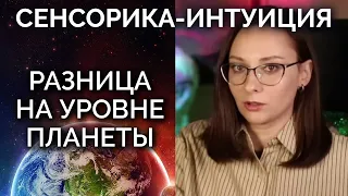 Сенсорика интуиция - отличия на уровне планеты и в истории человечества. Соционика