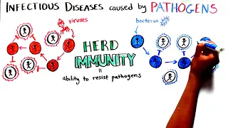 Herd Immunity: Understanding COVID-19