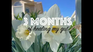 3 Months of Healing my Gut - learning to live with Mast Cell Activation Syndrome