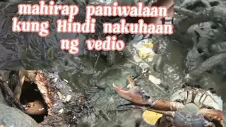 ep218maniniwala kba kung hindi ito nakuhaan ng vedio? alimango at hipon nag akyatan pampang