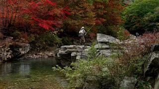 THE SONG OF WANDERING ANGUS BY W B  YEATS