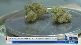 Marijuana reclassified as less serious drug