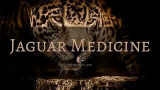 Jaguar Medicine