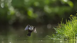 اسلام صبحي  ❤ صوت جميل جدا تقشعر له الأبدان  ❤جميع التلاوات ❤ Islam Sobhi