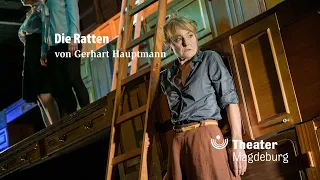 Die Ratten