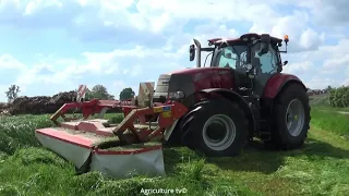 Mowing Grass-Case Puma 185 Cvx+Kuhn-Gras maaien-Melkveebedrijf Alaerts-2019