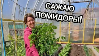 🍅САЖАЮ ПОМИДОРЫ😊🍅 ПОКАЗЫВАЮ ЧТО КЛАДУ В ЛУНКУ🔥👍ЭТО МОЯ ЛЮБИМАЯ КУЛЬТУРА💪❤️#помидоры#томаты #теплица