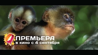 Амазония: Инструкция по выживанию (2014) HD трейлер | премьера 4 сентября