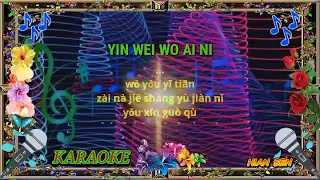 Yin wei wo ai ni - karaoke no vokal (cover to lyrics pinyin)