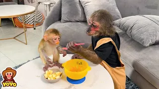 YoYo Jr helps dad takes care of monkey YiYi