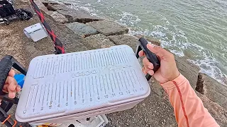 Multiple Limits caught with this awesome bait