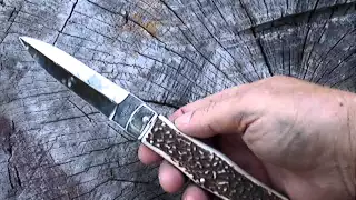 Mikov 241 Classic Predator Stag Automatic Leverlock Knife [ AWESOME ]!