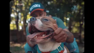 Dustystaytrue - Top Dog (Official Music Video)