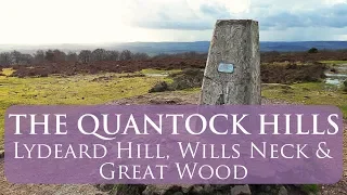Quantocks Hills AONB | A walk around Lydeard Hill, Wills Neck and Great Wood