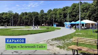 Zelenyi Gai Park in Kharkiv: How does it look like today?