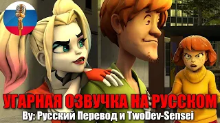 Вельма ревнует Шэгги к Харли Квинн / [MULTIVERSUS/SFM] animation / Угарная озвучка на русском