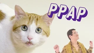 Pen Pineapple Apple Pen (PPAP Cat) ペンパイナッポーアッポーペン Merung 메룽이