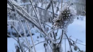 Кровавая барыня 13, 14 серия  Описание! Дата выхода сериала 2018! Анонс! Премьера