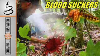 Prepare for the Worst: Expert Tips for Survival Camp in SHTF Situations I On Three Jason Salyer