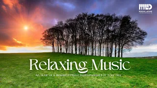 An Hour of Piano Instrumental for Relaxing, Deep Sleep and Relieving Your Stress.