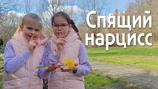 Нежный НОВЫЙ СТИХ на ПАСХУ Всей Семье. Читает Семья Грудин #стихнапасху