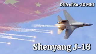 Shenyang J-16 : China’s air force quietly adds new J-16 fighter jets to ‘push the envelope’