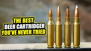 338 Federal: The Best Deer Cartridge You’ve Never Tried